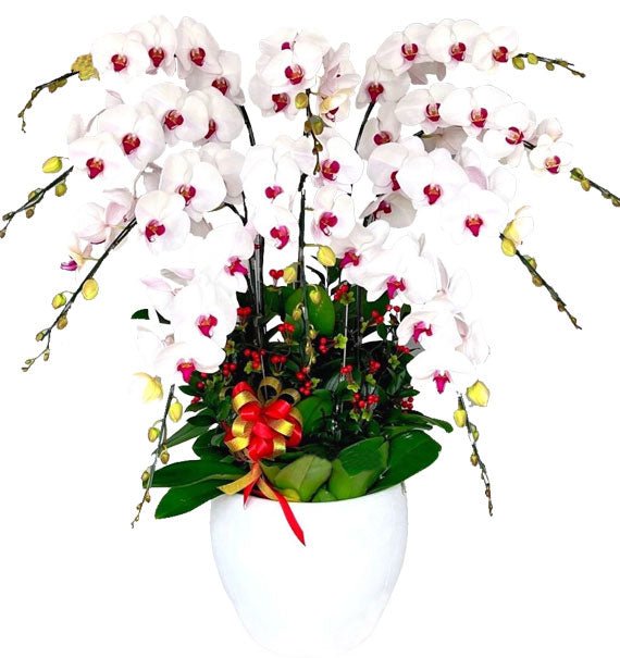 Vẹn Tròn Cát Tường