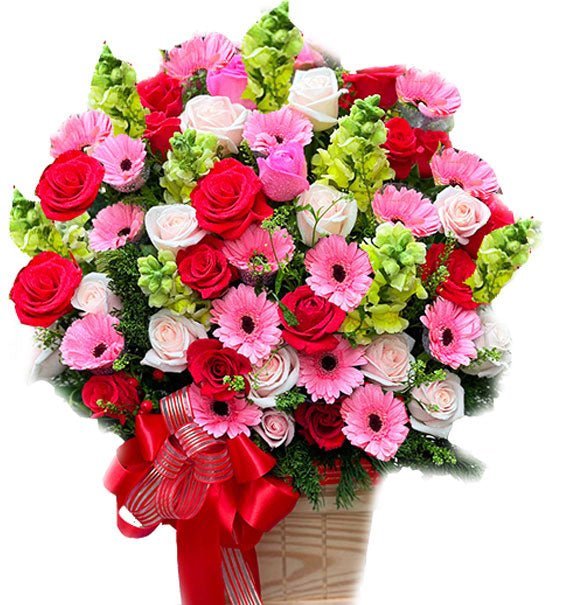 Viên Cát - Hoa Sài Gòn