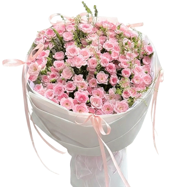 Vũ Điệu Hoa Hồng