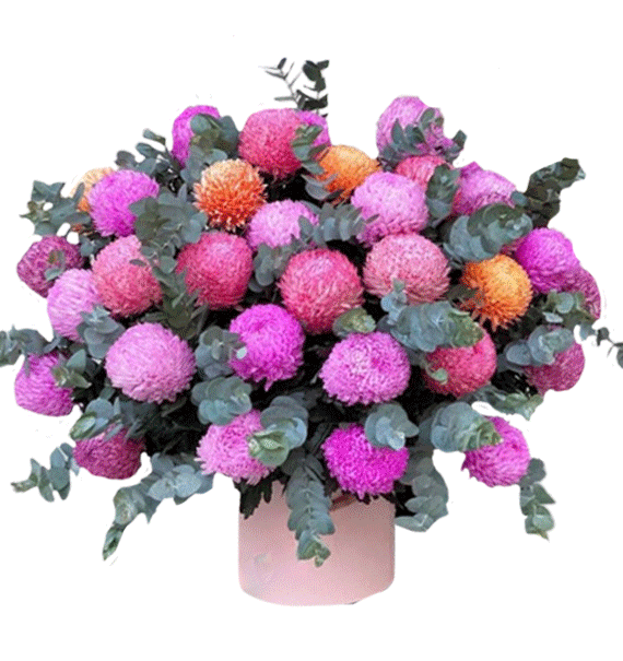 Vũ Khúc Sắc Màu