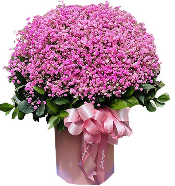 Vững Bền - Hoa Sài Gòn