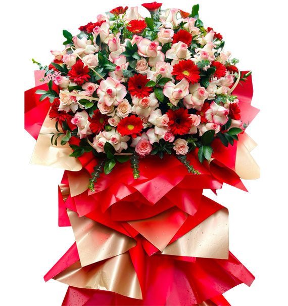 Vững Bước Thành Công - Hoa Sài Gòn