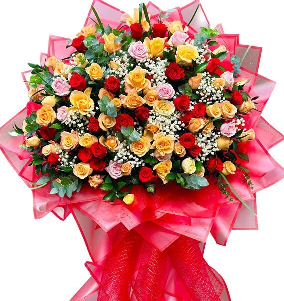 vung buoc vinh quang