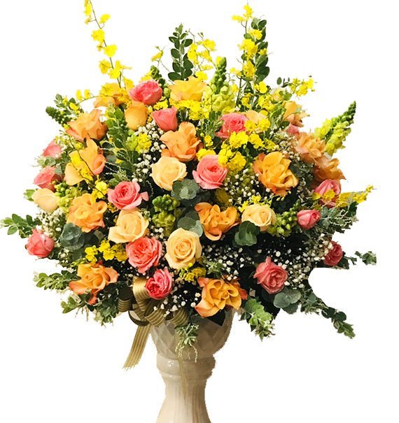 Vững Chãi - Hoa Sài Gòn