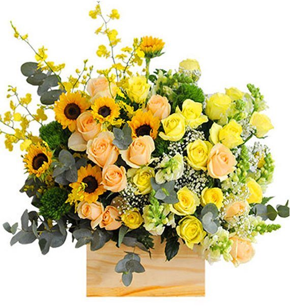 Vững Niềm Tin - Hoa Sài Gòn