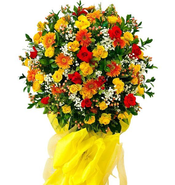 Vững Vàng - Hoa Sài Gòn