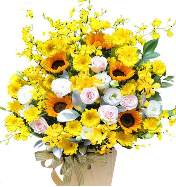 Vươn Mình Bay Cao - Hoa Sài Gòn