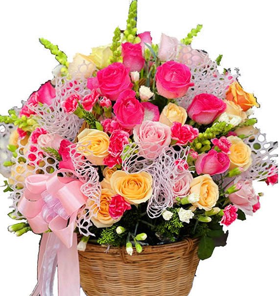 Vươn Tầm - Hoa Sài Gòn