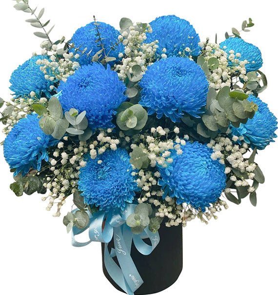 Vươn Xa Vững Mãi