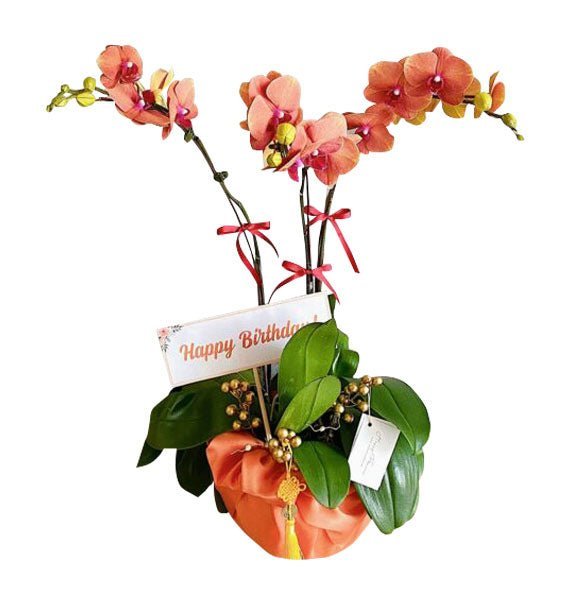 Vượng Khí Lan Tỏa