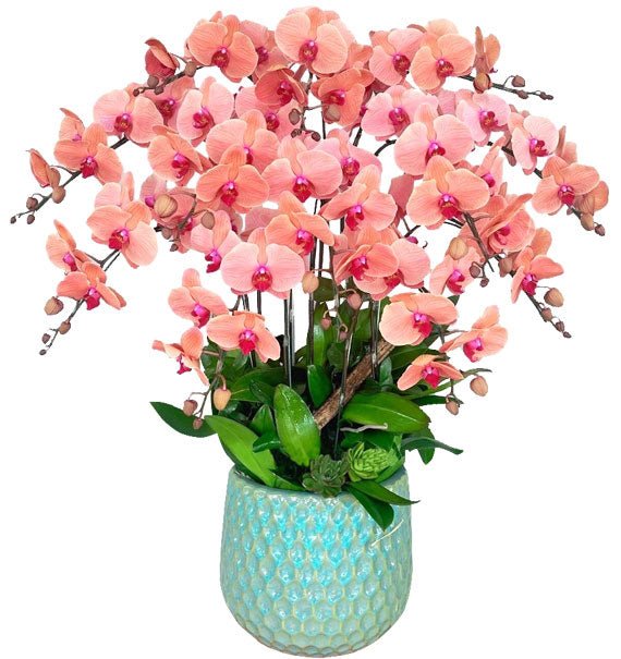 Vượng Lan Tứ Thời