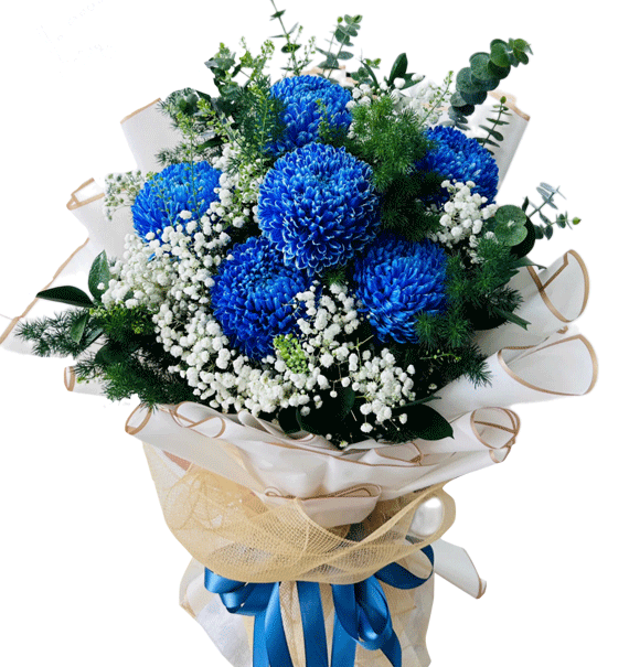 Xanh Dịu Ngày Mới