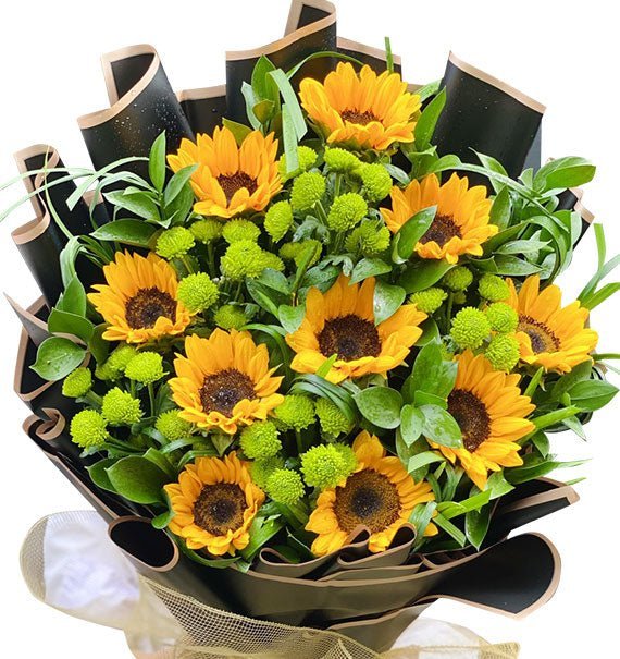 Xin Lỗi, Vì Còn Yêu Em