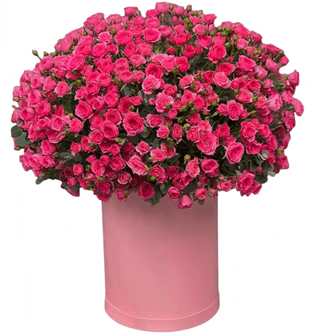 Yêu Thương Như Sắc Hồng