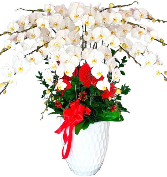 Yêu Thương Quay Về